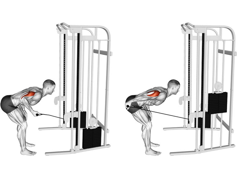 Cable Cable Kickback How To Muscles Worked Form Guide Liftosaur Cable Cable Kickback How To Muscles Worked Form Guide Liftosaur