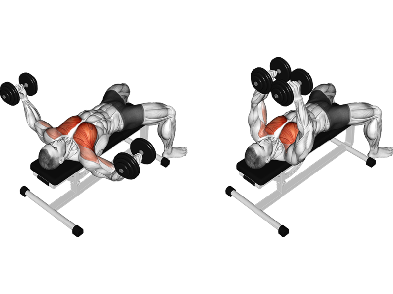 Dumbbell Chest Fly How To Muscles Worked Form Guide Liftosaur