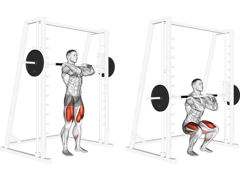 Smith Machine Front Squat How To Muscles Worked Form Guide Liftosaur Smith Machine Front Squat How To Muscles Worked Form Guide Liftosaur