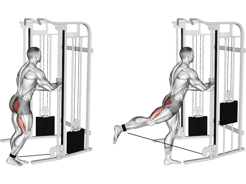 Cable Glute Kickback How To Muscles Worked Form Guide Liftosaur