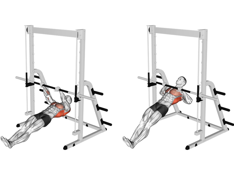 Bodyweight Inverted Row How To Muscles Worked Form Guide Liftosaur Bodyweight Inverted Row How To Muscles Worked Form Guide Liftosaur