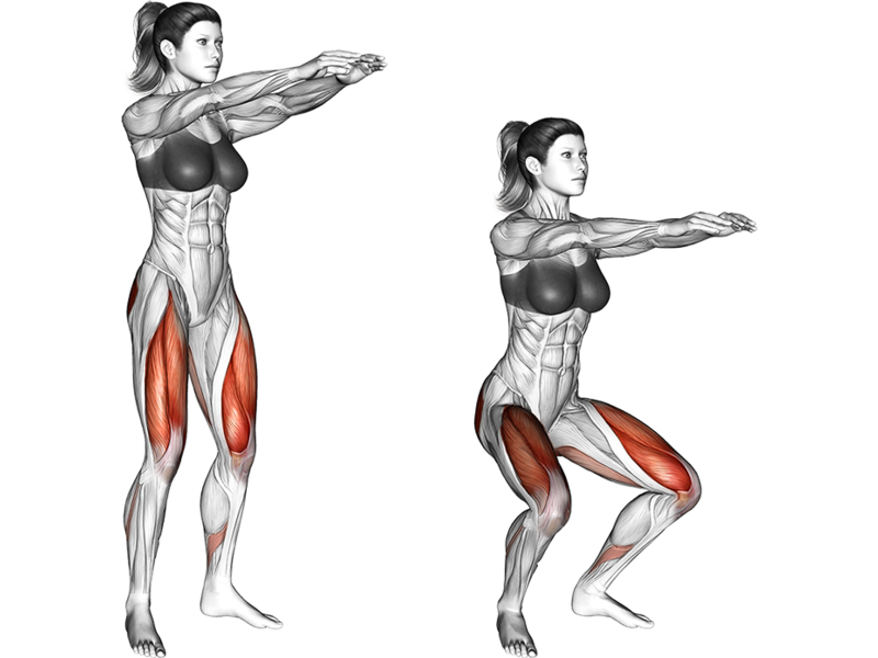 Bodyweight Squat Liftosaur Bodyweight Squat Liftosaur
