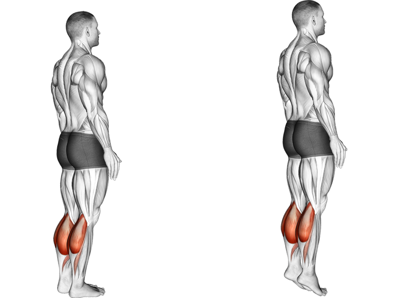 Bodyweight Standing Calf Raise How To Muscles Worked Form Guide Bodyweight Standing Calf Raise How To Muscles Worked Form Guide