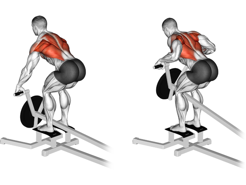 Leverage Machine T Bar Row How To Muscles Worked Form Guide Leverage Machine T Bar Row How To Muscles Worked Form Guide