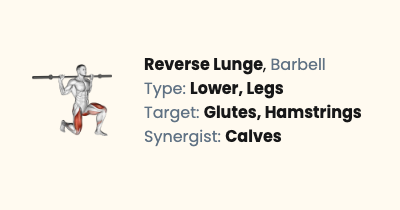 Barbell Reverse Lunge - How To, Muscles Worked & Form Guide | Liftosaur