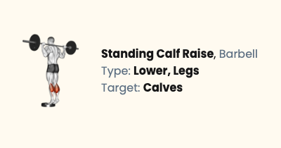 Barbell Standing Calf Raise - How To, Muscles Worked & Form Guide ...