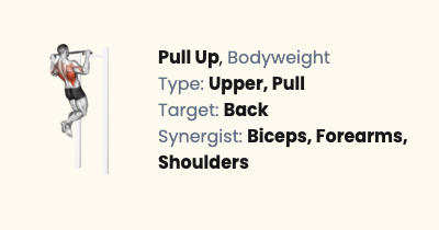 Bodyweight Pull Up - How To, Muscles Worked & Form Guide | Liftosaur