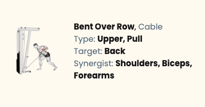 Cable Bent Over Row - How To, Muscles Worked & Form Guide | Liftosaur