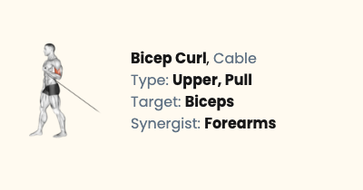 Cable Bicep Curl | Liftosaur