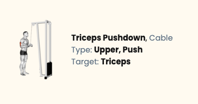 Cable Triceps Pushdown | Liftosaur