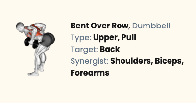 Dumbbell Bent Over Row - How To, Muscles Worked & Form Guide | Liftosaur