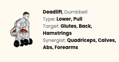 Dumbbell Deadlift | Liftosaur