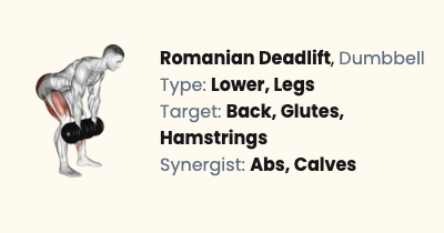 Dumbbell Romanian Deadlift | Liftosaur