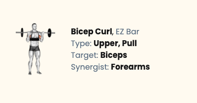 EZ Bar Bicep Curl | Liftosaur