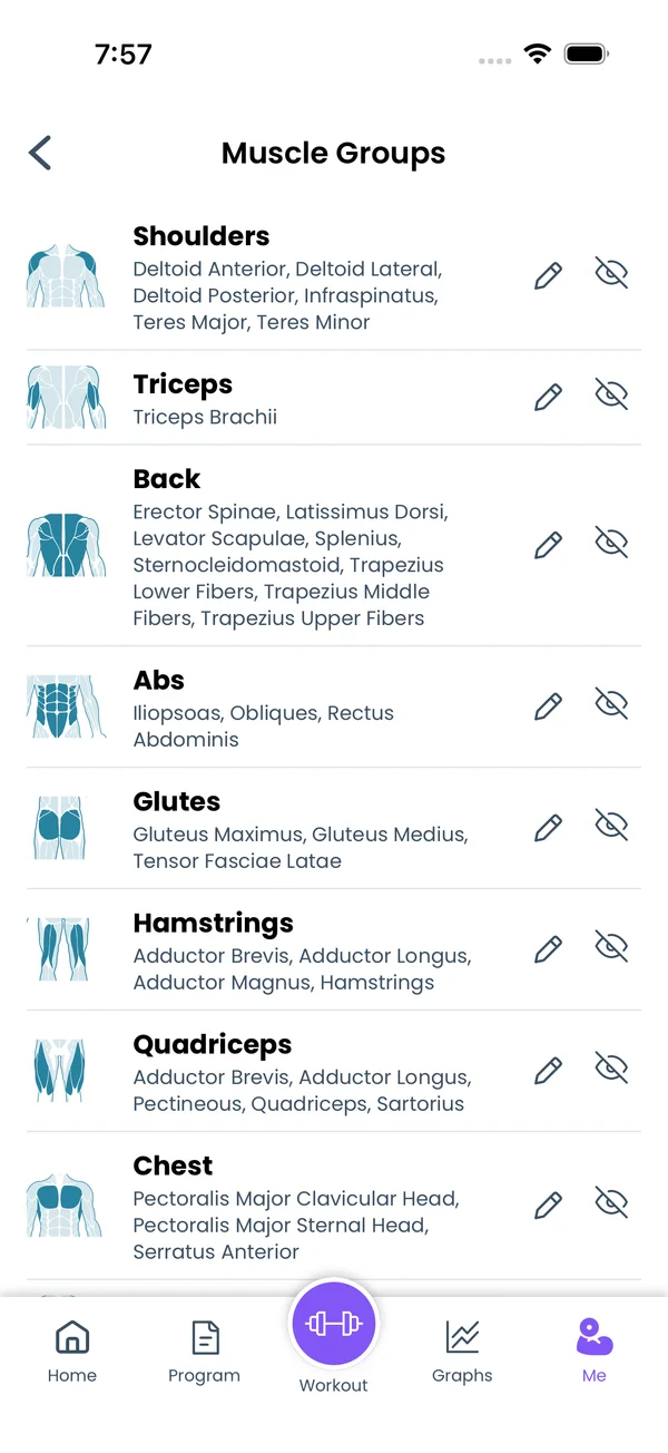 The Muscle Groups screen