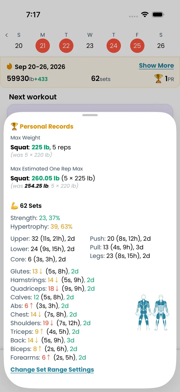Sets per muscle group with the body drawing
